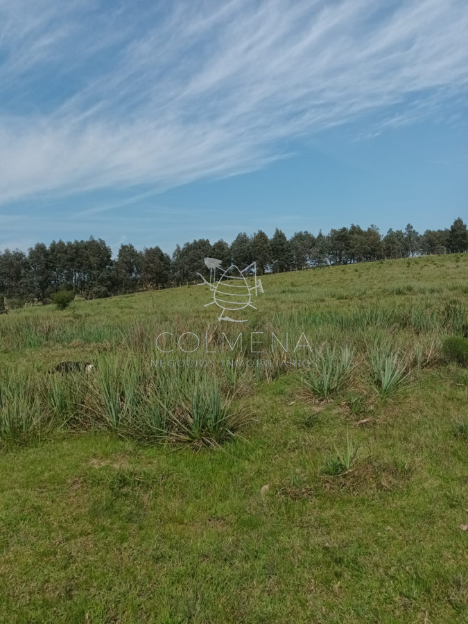 Campo en paraje Jose Ignacio cerca de la ruta 9 - GoPunta - Portal Inmobiliario de Punta del Este - Maldonado