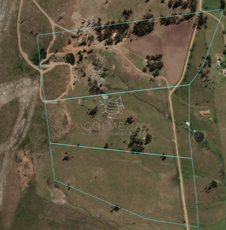 Campo de 37 has   en Los Ceibos   Las Vertientes - GoPunta - Portal Inmobiliario de Punta del Este - Maldonado