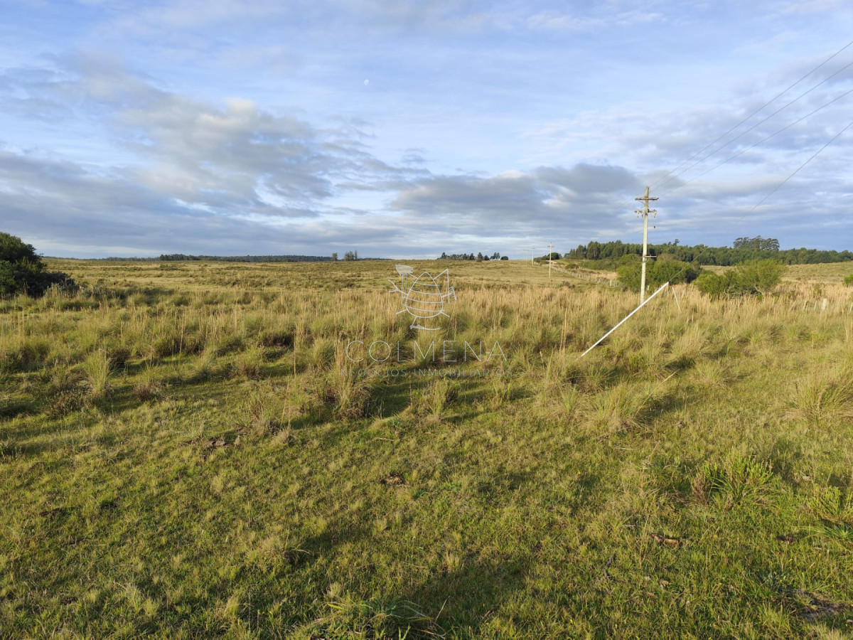 Campo de 22 has 3402 en Garzón - COL11236P