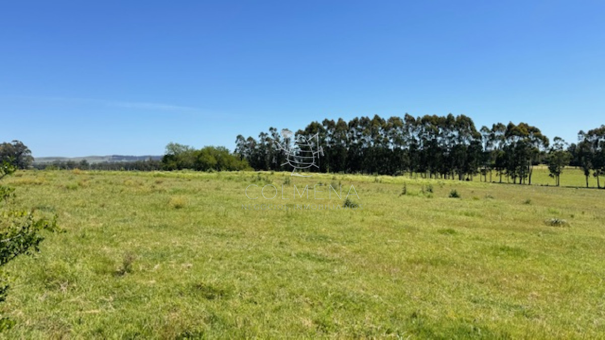 Campo 109 has a 34 km de Punta del Este - GoPunta - Portal Inmobiliario de Punta del Este - Maldonado