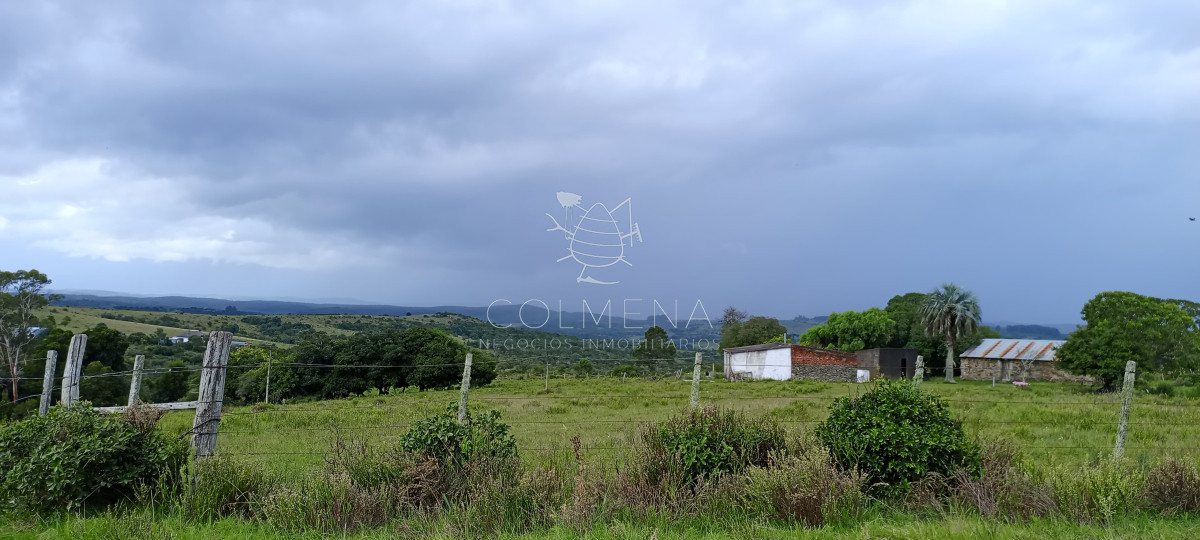 Campo en Rocha hacia ruta 15 - GoPunta - Portal Inmobiliario de Punta del Este - Maldonado