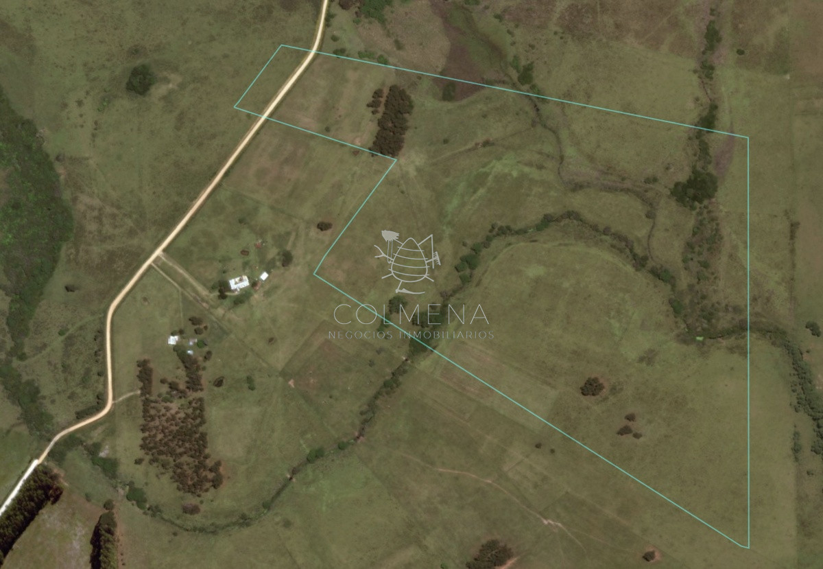 Campo de 48 has con 5545 m2 en Medellin muy cerca de Jose Ignacio. Valor 20000 dolares por Has   Consulte!!!!!!! - GoPunta - Portal Inmobiliario de Punta del Este - Maldonado