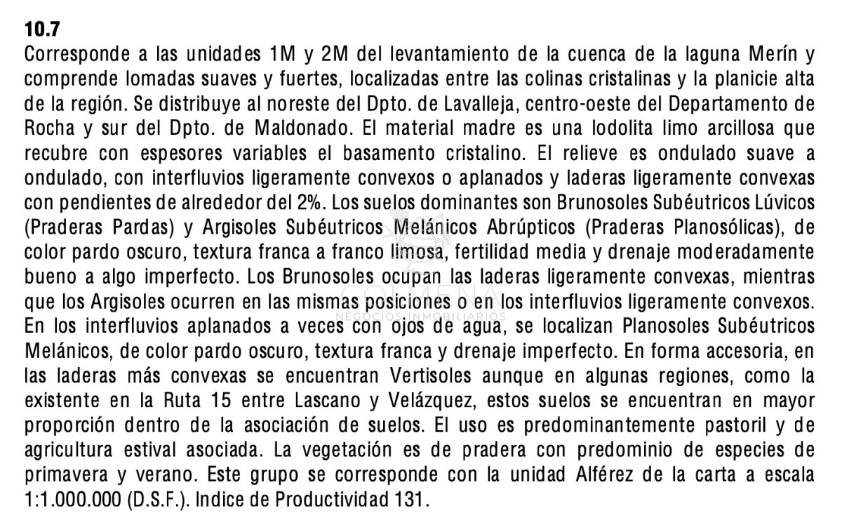30 has en Laguna del Sauce. Ideal Fraccionamiento o uso turistico. - GoPunta - Portal Inmobiliario de Punta del Este - Maldonado
