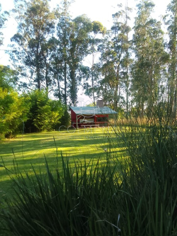 Campo de 11 has en los ceibos con 2 casas a 15 km de Punta del este - GoPunta - Portal Inmobiliario de Punta del Este - Maldonado