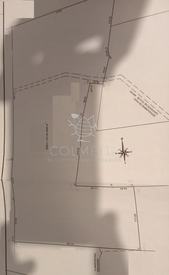 Campo cerca ruta 39 - GoPunta - Portal Inmobiliario de Punta del Este - Maldonado
