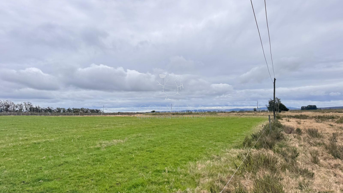 Campo de 3 has en Corte la leña - GoPunta - Portal Inmobiliario de Punta del Este - Maldonado