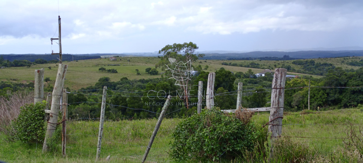Campo en Rocha hacia ruta 15 - GoPunta - Portal Inmobiliario de Punta del Este - Maldonado