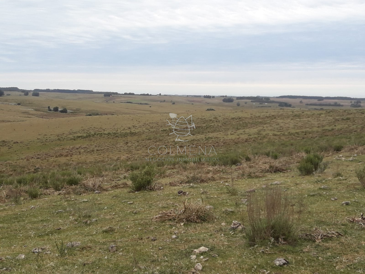 Campo de 6 has en Garzon. Consulte!!!!!!!! - GoPunta - Portal Inmobiliario de Punta del Este - Maldonado