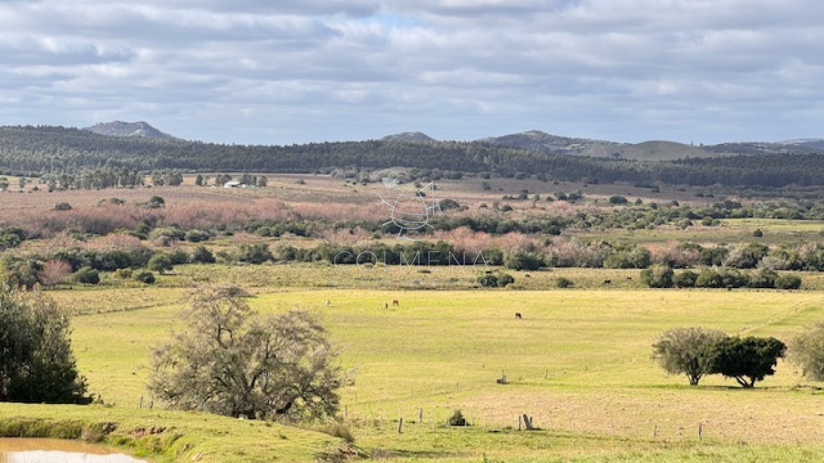 Se vende Chacra 5 has en Campanero en un alto con buena camineria. - GoPunta - Portal Inmobiliario de Punta del Este - Maldonado
