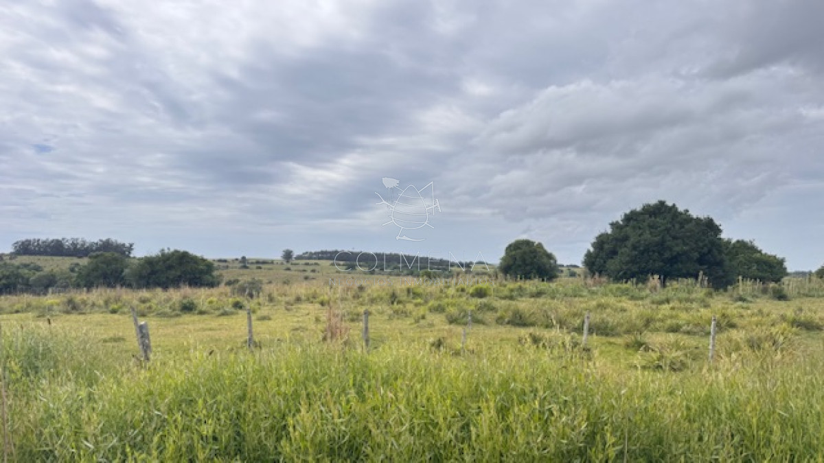 Campo sobre camino los molles y Pueblo Garzón. - GoPunta - Portal Inmobiliario de Punta del Este - Maldonado