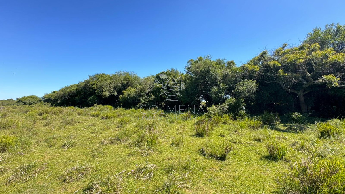 Campo 21 has en Corte la leña - GoPunta - Portal Inmobiliario de Punta del Este - Maldonado