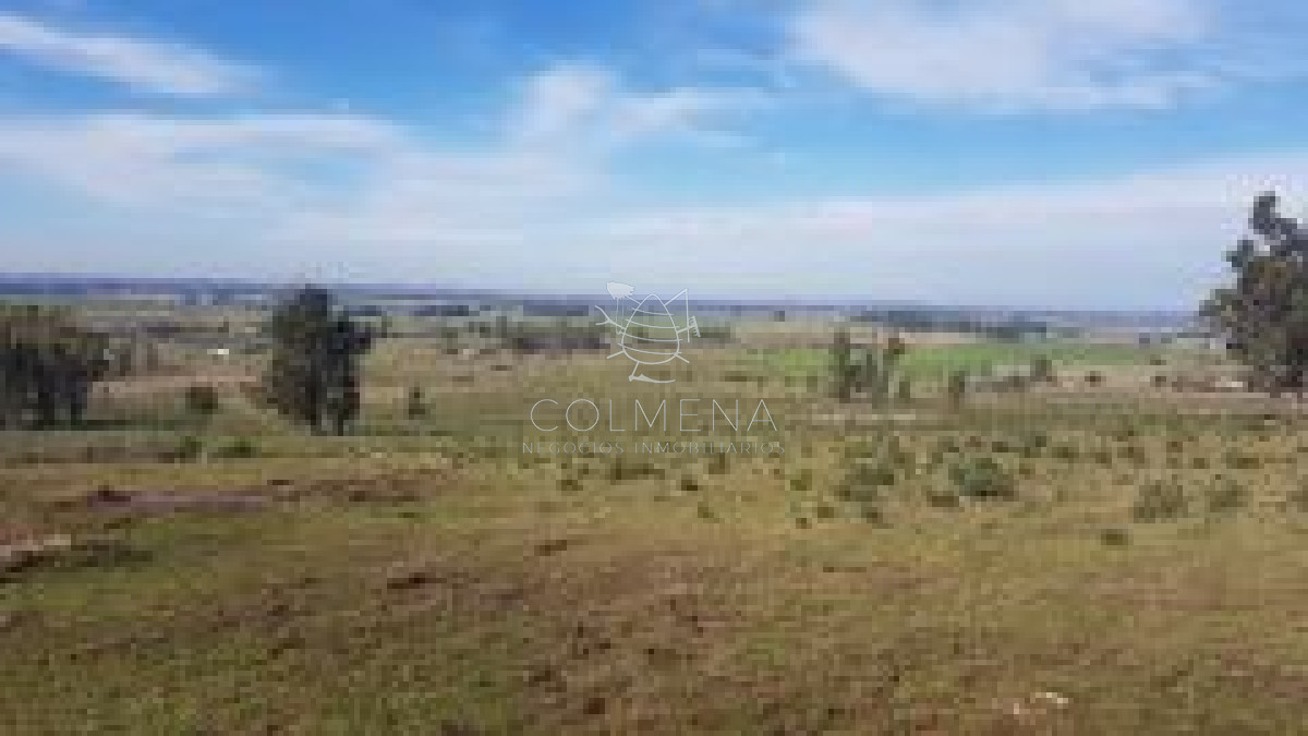 Campo de 37 has   en Los Ceibos   Las Vertientes - GoPunta - Portal Inmobiliario de Punta del Este - Maldonado