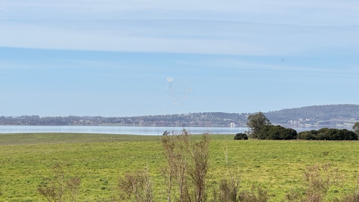 Chacras en Laguna del Sauce - GoPunta - Portal Inmobiliario de Punta del Este - Maldonado