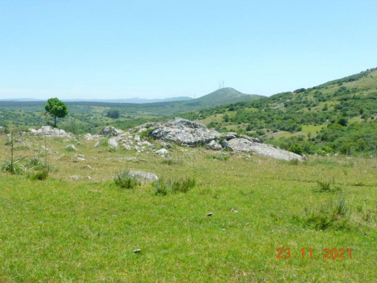 Campo de sierra 27 has en los Caracoles - GoPunta - Portal Inmobiliario de Punta del Este - Maldonado