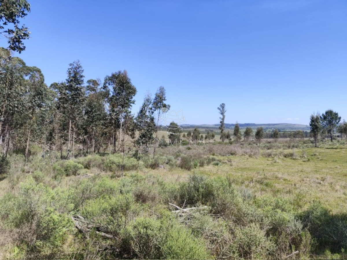 Campo 5 has en Partido Norte a 38 km de Punta del Este - GoPunta - Portal Inmobiliario de Punta del Este - Maldonado