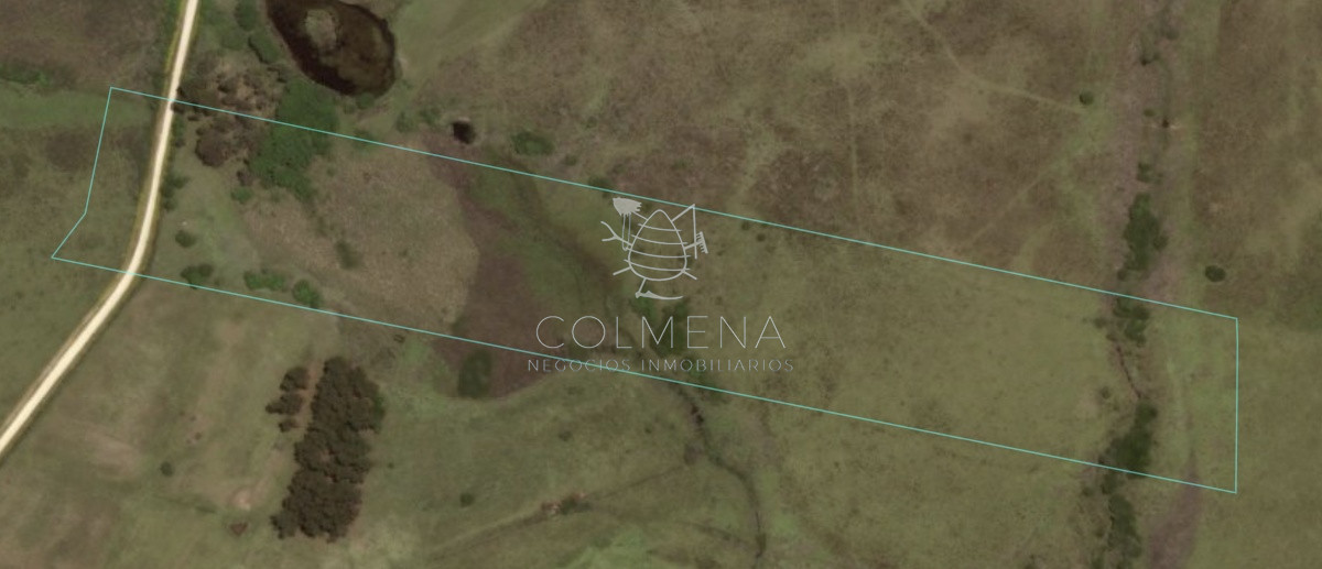 Campo de 48 has con 5545 m2 en Medellin muy cerca de Jose Ignacio. Valor 20000 dolares por Has   Consulte!!!!!!! - GoPunta - Portal Inmobiliario de Punta del Este - Maldonado