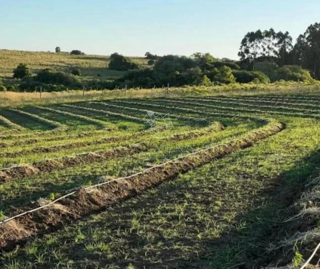 Campo 89 has en paraje Pueblo Edén - GoPunta - Portal Inmobiliario de Punta del Este - Maldonado
