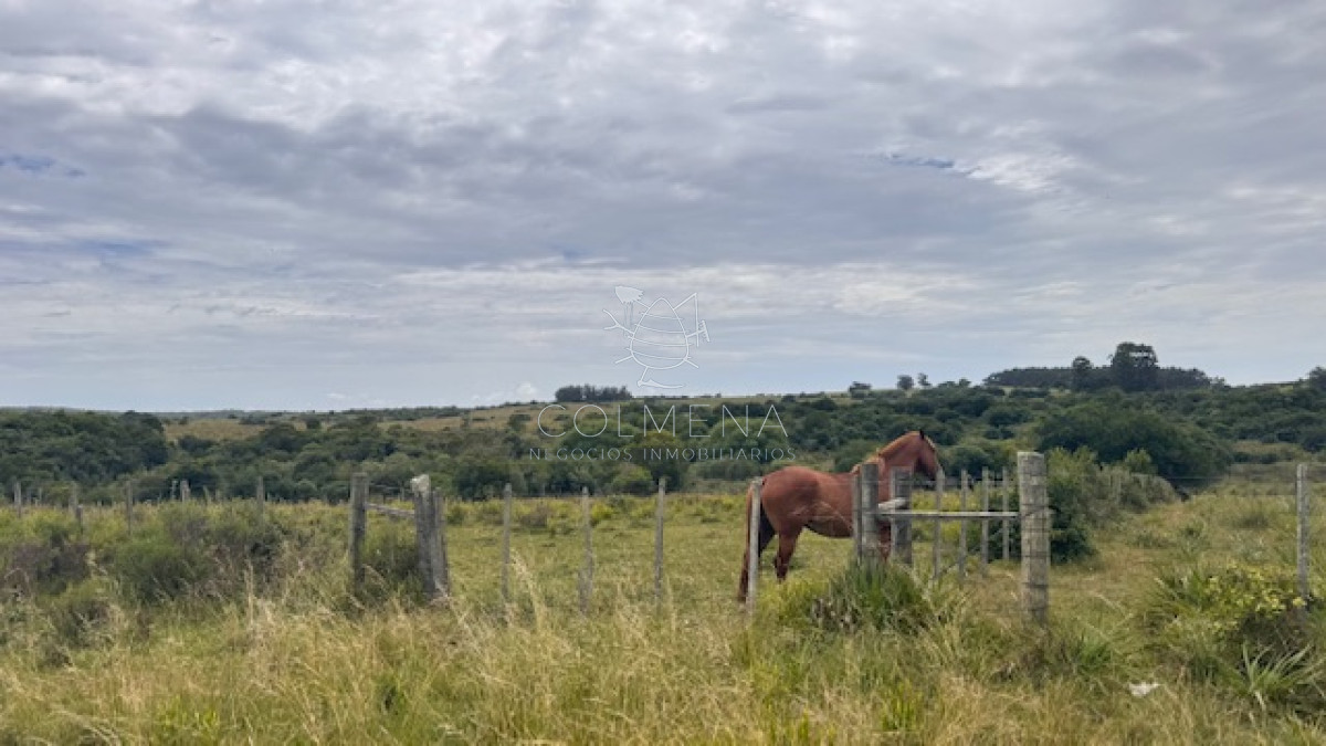 Campo sobre camino los molles y Pueblo Garzón. - GoPunta - Portal Inmobiliario de Punta del Este - Maldonado