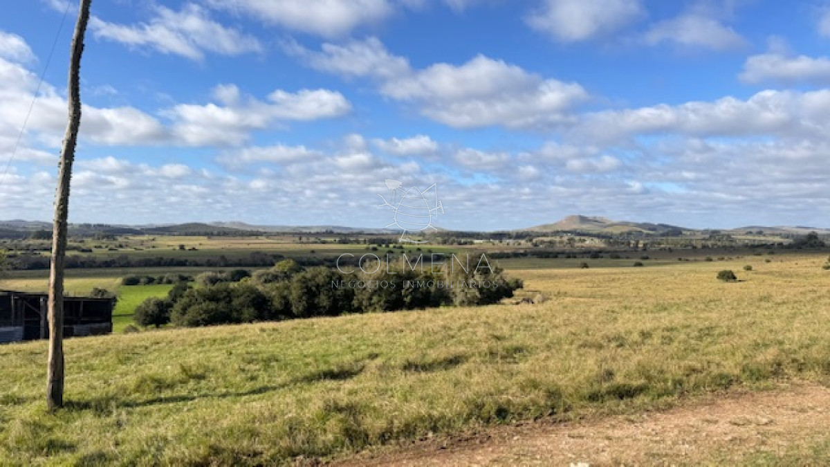 Campo 57 has   Agricola Ganadero cerca de Minas! muy bueno! - GoPunta - Portal Inmobiliario de Punta del Este - Maldonado