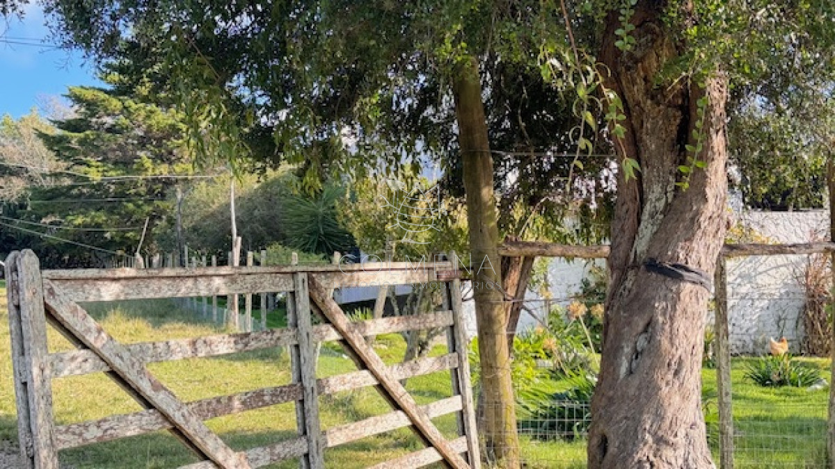 Campo 57 has   Agricola Ganadero cerca de Minas! muy bueno! - GoPunta - Portal Inmobiliario de Punta del Este - Maldonado