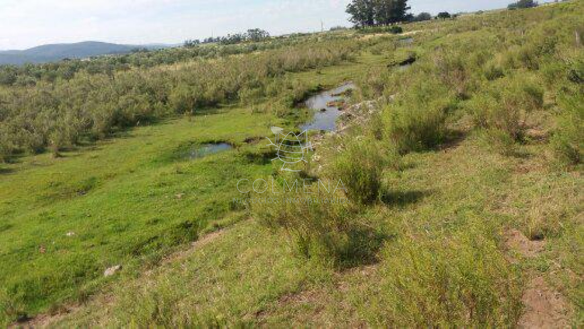 Campo 10 has con 6799 m2 cerca de ruta 8 - GoPunta - Portal Inmobiliario de Punta del Este - Maldonado