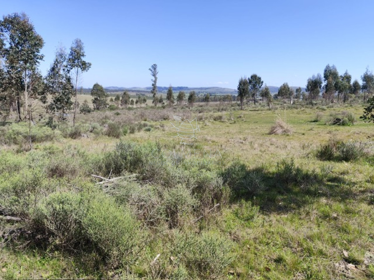 Campo 5 has en Partido Norte a 38 km de Punta del Este - GoPunta - Portal Inmobiliario de Punta del Este - Maldonado