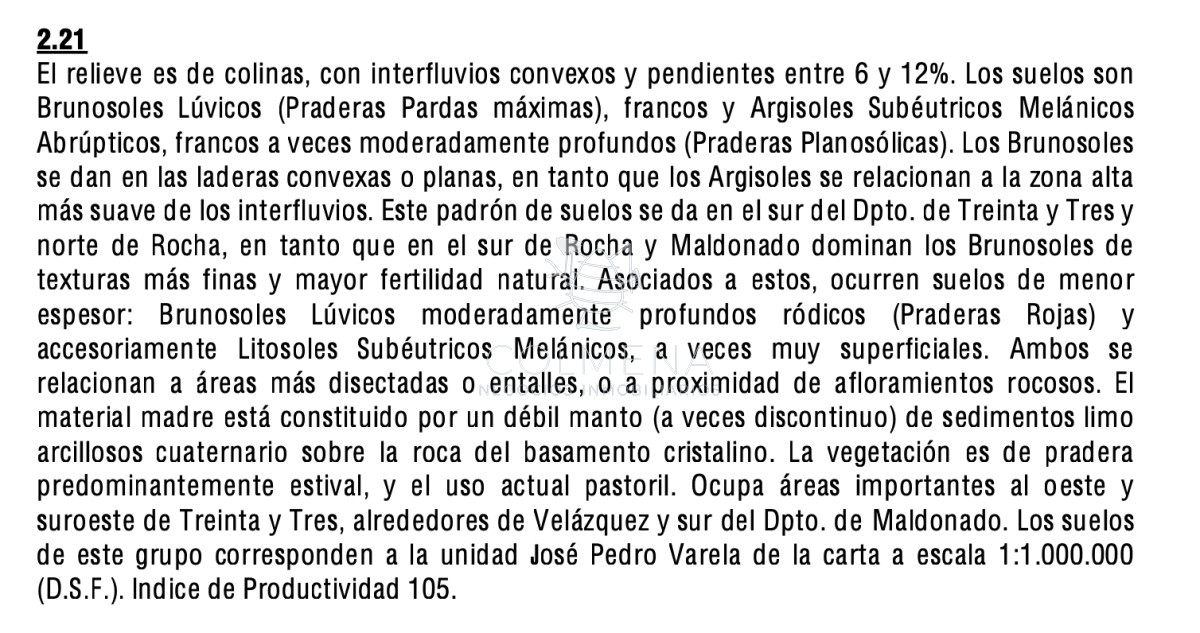 Muy buen Campo para cria de ganado. - GoPunta - Portal Inmobiliario de Punta del Este - Maldonado
