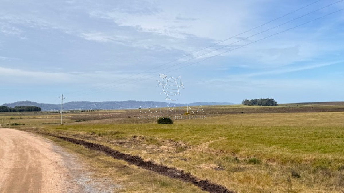 Chacras en Laguna del Sauce - GoPunta - Portal Inmobiliario de Punta del Este - Maldonado