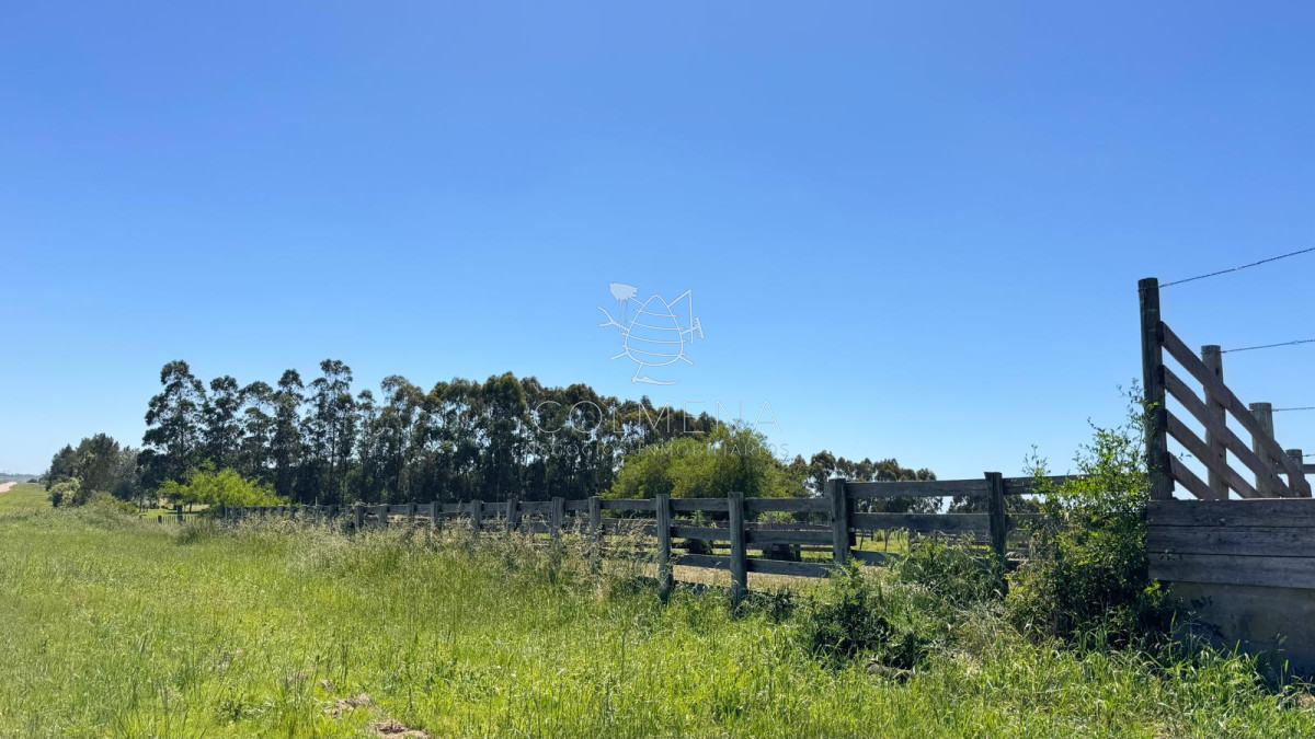 Campo en San Carlos, - GoPunta - Portal Inmobiliario de Punta del Este - Maldonado