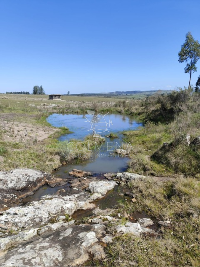 Campo 5 has en Partido Norte a 38 km de Punta del Este - GoPunta - Portal Inmobiliario de Punta del Este - Maldonado