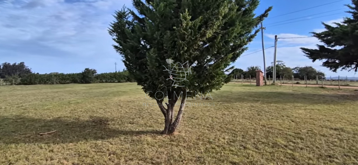 Campo en los Ceibos - GoPunta - Portal Inmobiliario de Punta del Este - Maldonado
