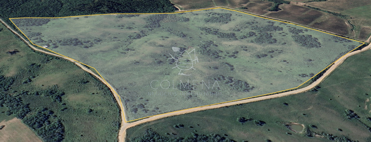 Campo cerca de los viñedos, bodegas y pueblo Garzon. - GoPunta - Portal Inmobiliario de Punta del Este - Maldonado