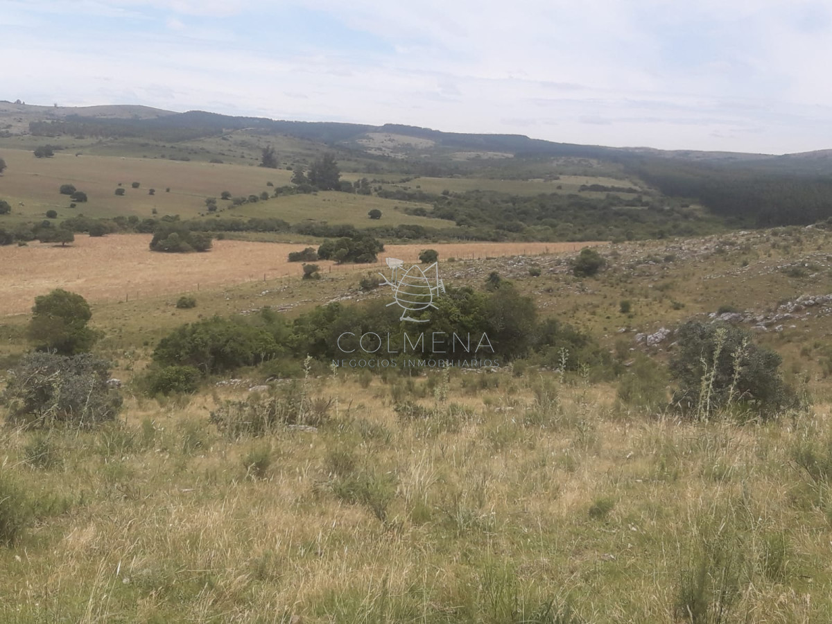 Campo 5 has Cerca de Pueblo Eden   Codigo 5463 - GoPunta - Portal Inmobiliario de Punta del Este - Maldonado