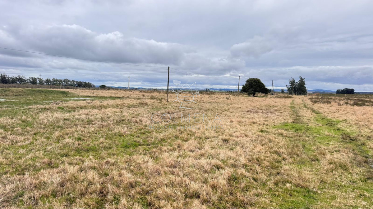 Campo de 3 has en Corte la leña - GoPunta - Portal Inmobiliario de Punta del Este - Maldonado