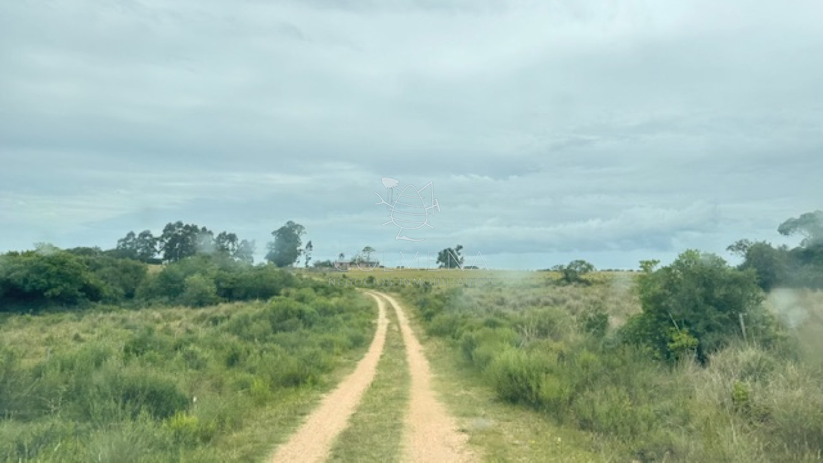 Campo de 78 has en Garzon - GoPunta - Portal Inmobiliario de Punta del Este - Maldonado