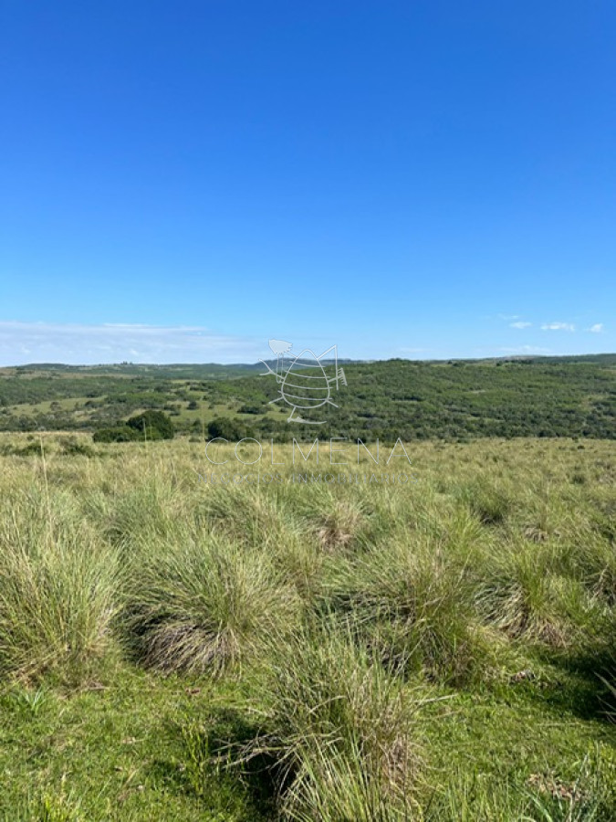 Campo en Paso de la Cantera - GoPunta - Portal Inmobiliario de Punta del Este - Maldonado