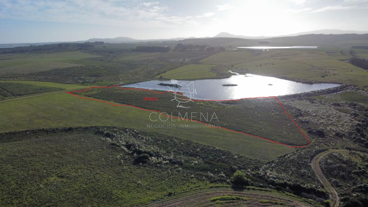 Campo con 300 m  de frente a laguna, cuenta con un islote lugar muy pintoresco. - GoPunta - Portal Inmobiliario de Punta del Este - Maldonado