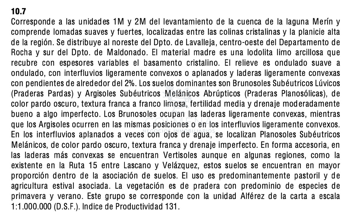 86 has en Zanja de Chavez - GoPunta - Portal Inmobiliario de Punta del Este - Maldonado