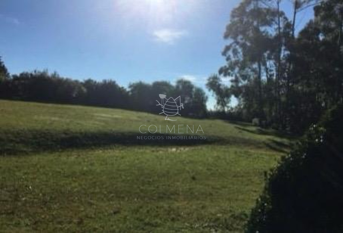 Chacra 5 has en Pueblo Edén, con casa principal cuenta Monte nativo y aguadas. - GoPunta - Portal Inmobiliario de Punta del Este - Maldonado