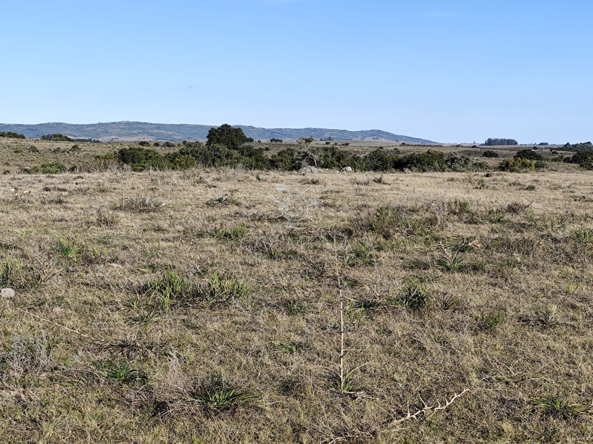 Campo cerca ruta 39 en Paso Dutra - GoPunta - Portal Inmobiliario de Punta del Este - Maldonado
