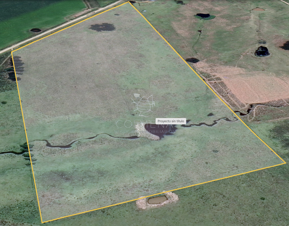 Campo en Partido Norte frente a camino - GoPunta - Portal Inmobiliario de Punta del Este - Maldonado