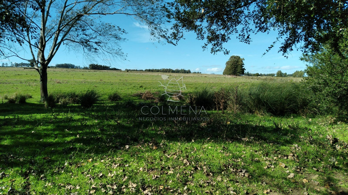 Campo en Partido Norte - GoPunta - Portal Inmobiliario de Punta del Este - Maldonado