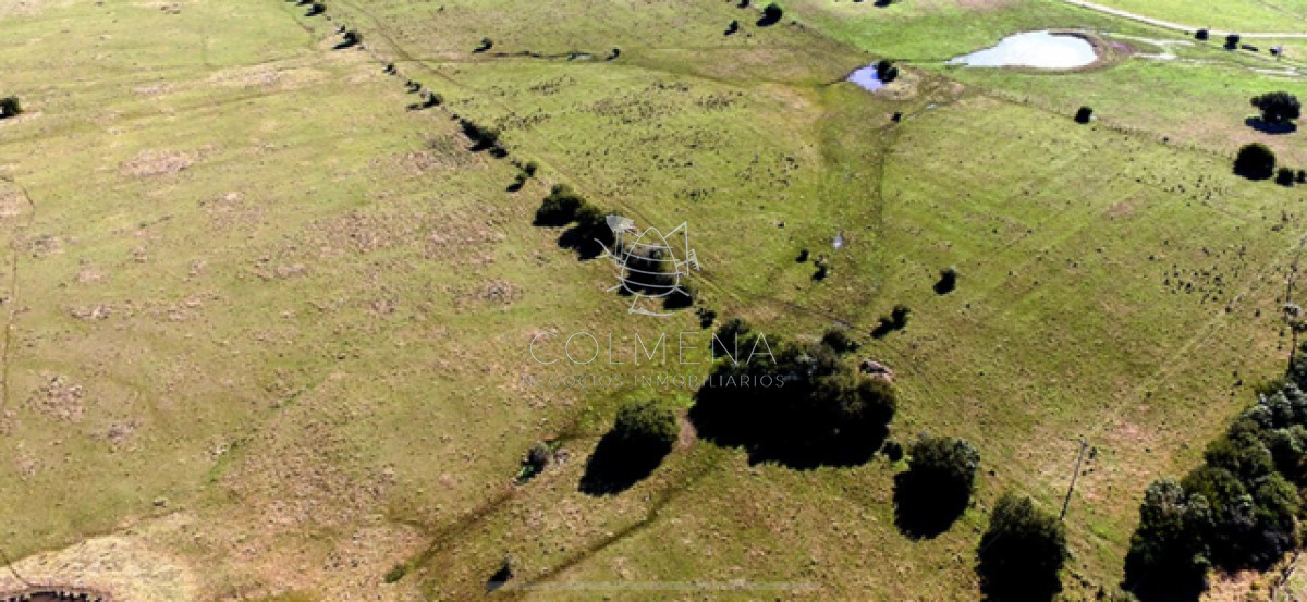 Campo en Zanja Chavez con costa de arroyo, caña y monte natural. - GoPunta - Portal Inmobiliario de Punta del Este - Maldonado