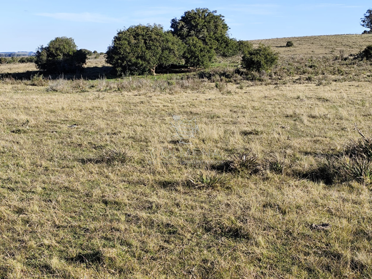 Campo cerca ruta 39 en Paso Dutra - GoPunta - Portal Inmobiliario de Punta del Este - Maldonado