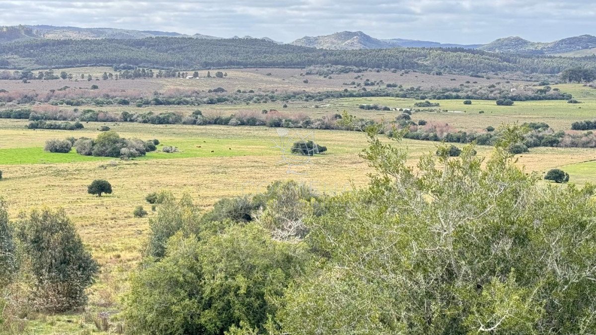 Chacra 5 has  en Campanero con buena vistas y camineria. - GoPunta - Portal Inmobiliario de Punta del Este - Maldonado
