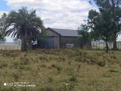 Campo 28 has en Corte La Leña con casa y costa de arroyo.