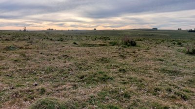 Campo en Rocha
