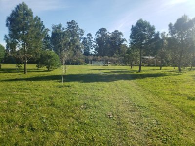 Chacra de 3 has con 5657 m2 en camino Benito Nardone