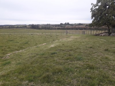 Campo en Garzón con Casa - Consulte!!!!!