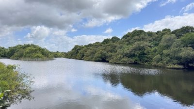 Campo 18 has con casa en los Ceibos y costa de arroyo.